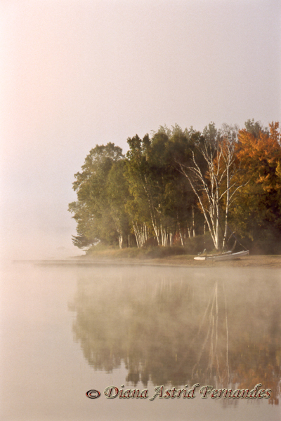 Canada,-misty-morn-Ontario-cottage-country